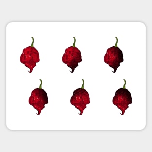 Habanero Chilli Pepper Sticker Spicy Hot Jalapeno Carolina Reaper Magnet